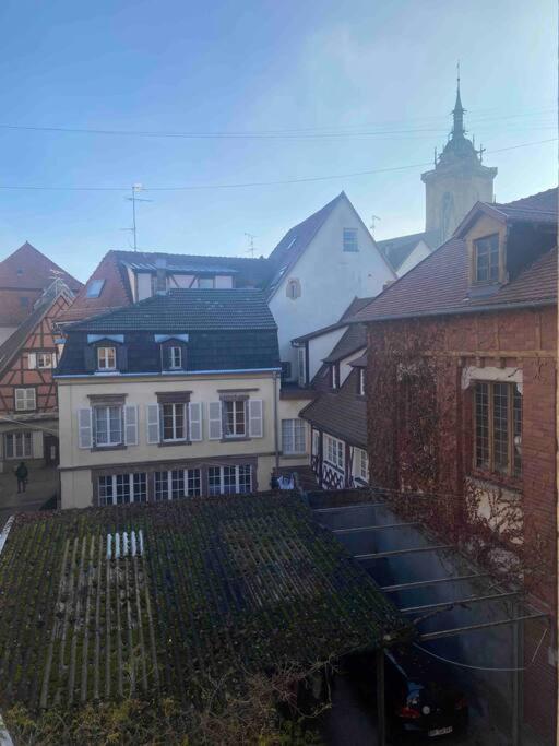 Suites Du Trefle Кольмар Экстерьер фото