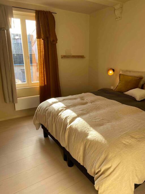 Suites Du Trefle Кольмар Экстерьер фото